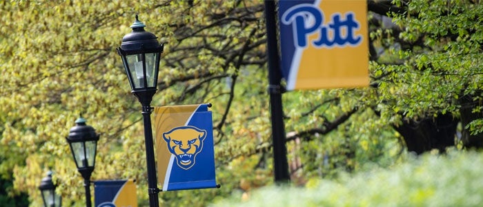 Pitt banners hang from lamp posts