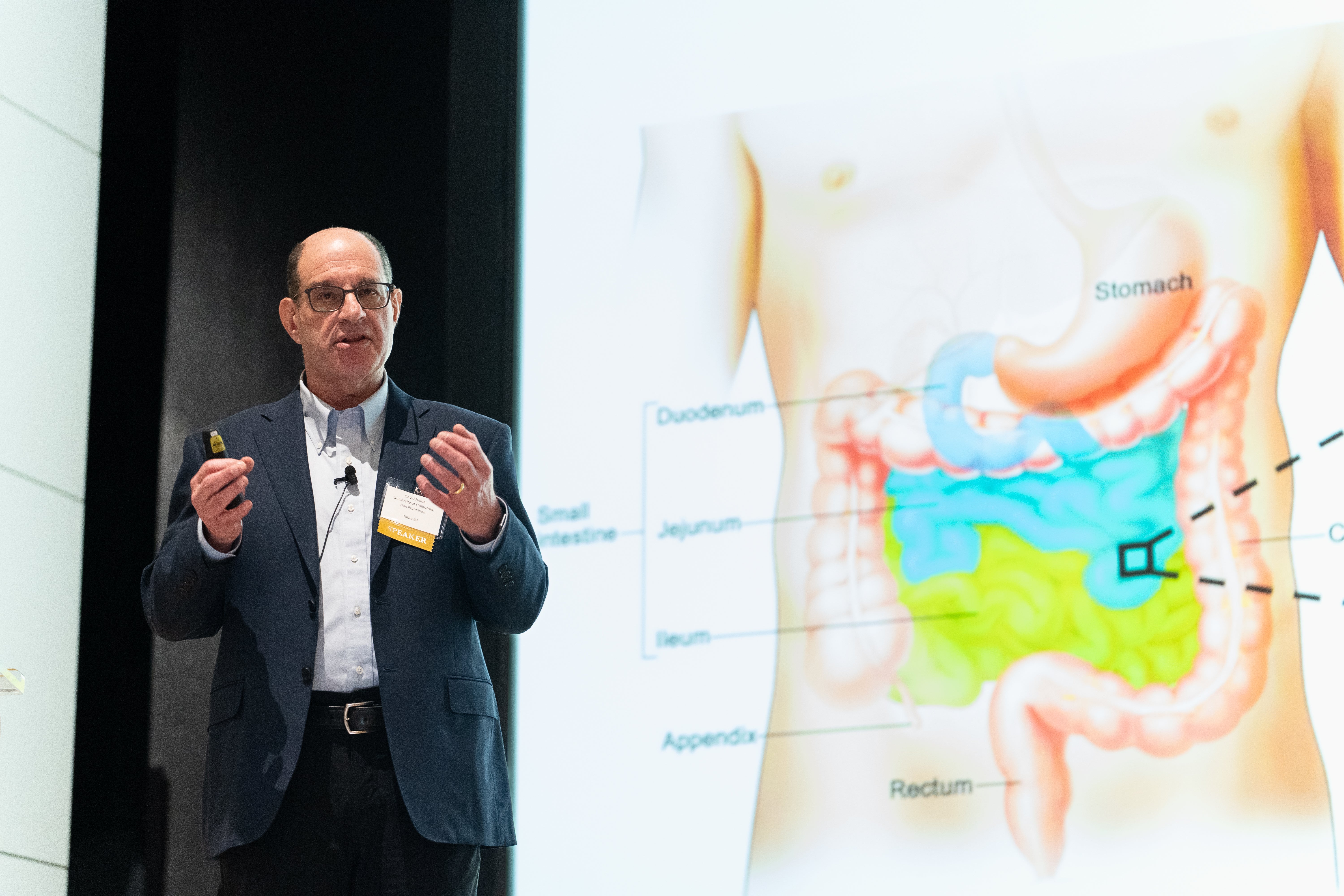 Dave Julius speaking on a stage in front of an animated graphic of the digestive track.  