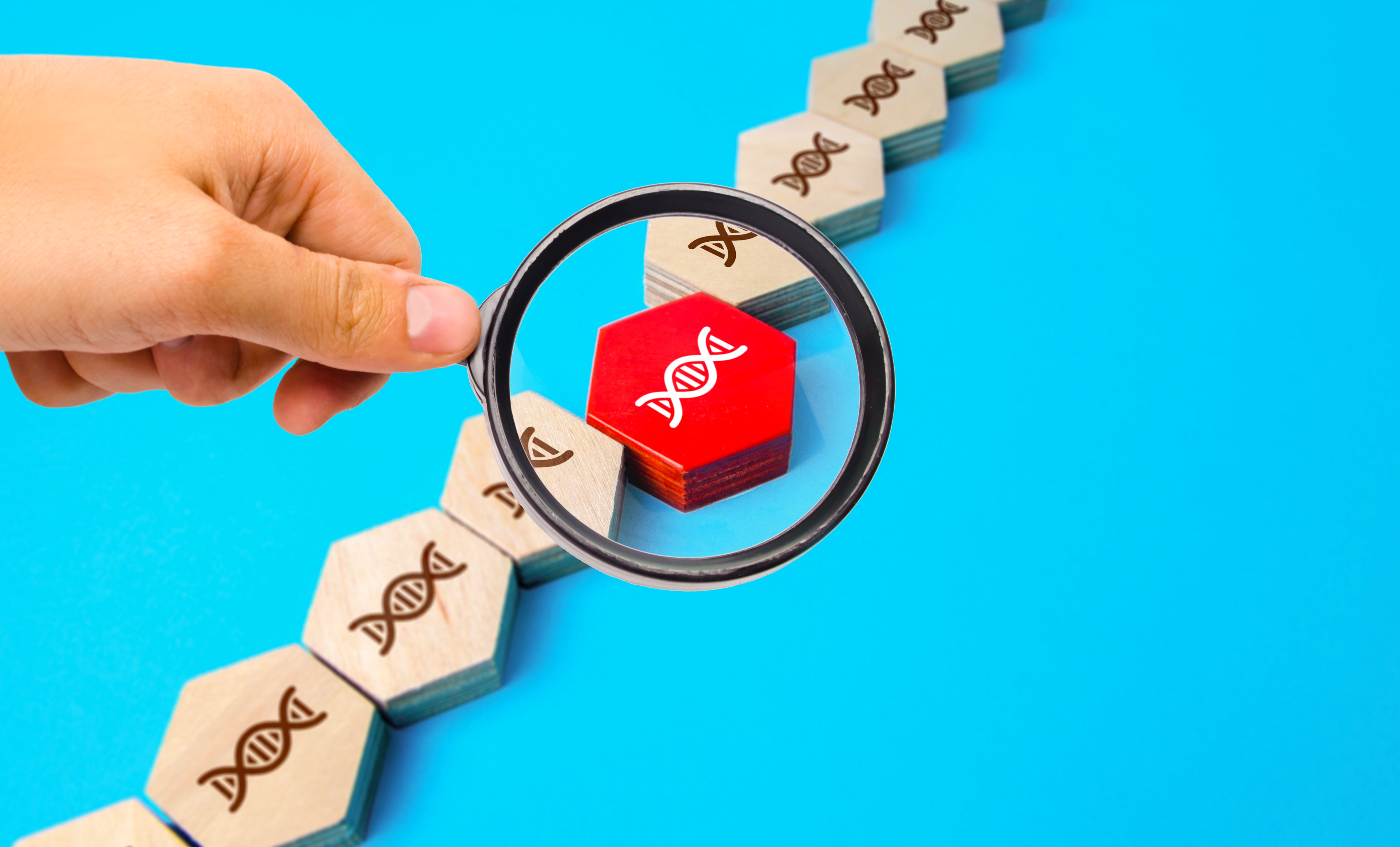 Magnifying glass highlighting a red DNA hexagon tile among a chain of wooden ones, meant to represent genetic mutation detection.