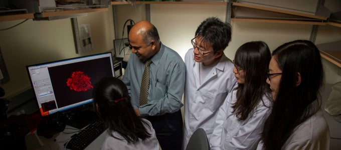 students and instructor studying computer screen 