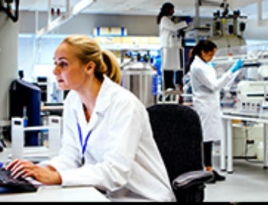 students working in lab 