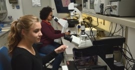 Two students looking in microscope